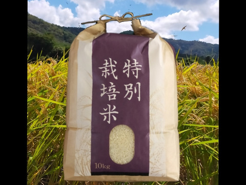 京都の料亭御用達【白米】20kg 
 コシヒカリ 特別栽培米 令和4年産 京丹波産 一等米