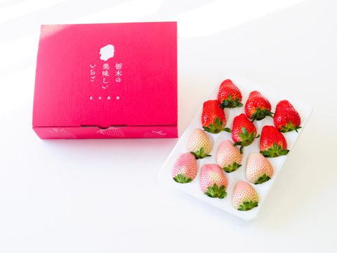 【ゲン担ぎ福袋】『とちあいか/ミルキーべりー　ゆりかーご』紅白！贈答用厳選！1パック9～15粒【ゆりかーご】450g以上　※熨斗対応・日付指定可※