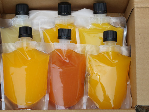 合計12本セット　柑橘ゼリー6種飲み比べセット‼ 
甘平・河内晩柑・ブラッド・せとか・28号・清見