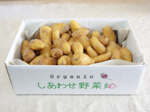 【訳あり】有機ジャガイモ　フードロス対応　5kg