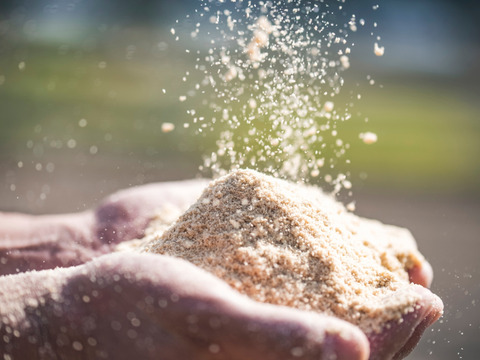 今が旬‼️ぷりぷり食感の小豆島産はっさく5kg