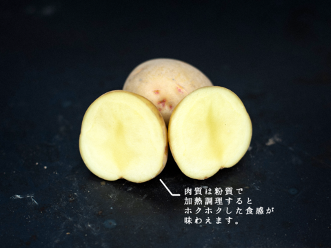 甘くてホクホク！香川県産ジャガイモ1.8kg（キタアカリ）