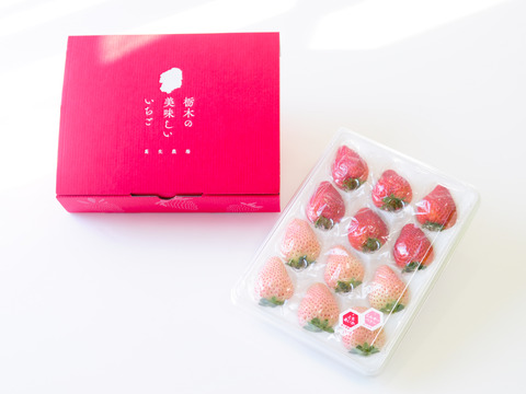 【ゲン担ぎ福袋】『とちあいか/ミルキーべりー　ゆりかーご』紅白！贈答用厳選！1パック9～15粒【ゆりかーご】450g以上　※熨斗対応・日付指定可※