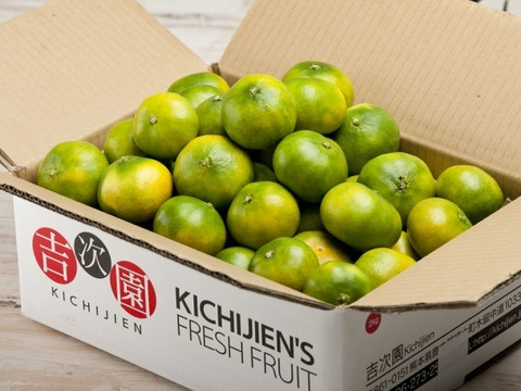 果汁たっぷり！熊本極早生みかん『豊福』7ｋｇ（10/31まで）