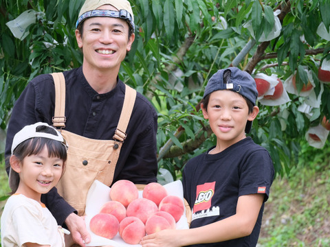 【贅沢な一杯】2本セット 100％桃しぼりジュース「しふく」桃の果汁だけで作った希少な桃ジュース