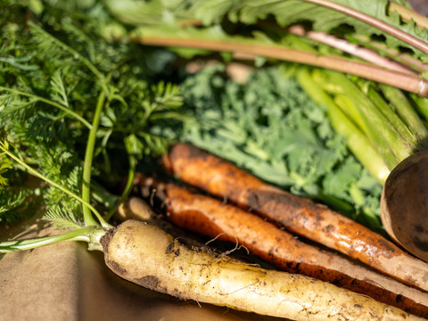 季節の野菜セット(約5~7品)＊Sサイズ