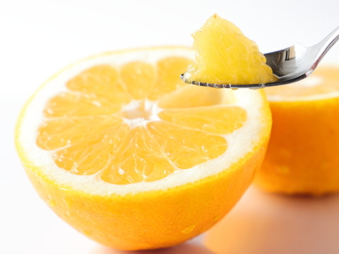 無・河内晩柑4kg