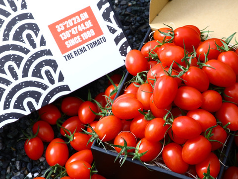 -RENA TOMATO- お試しキャンペーン‼︎福岡県産激ウマとまと