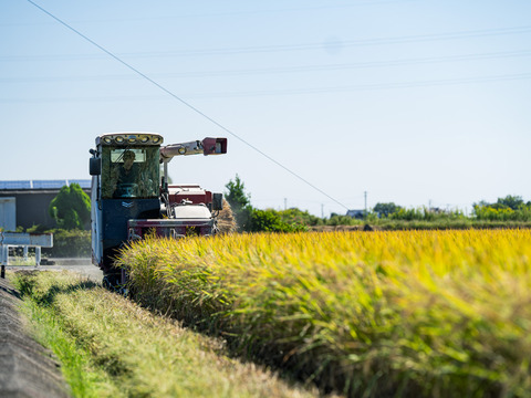 新米！＜15年連続最高評価特A受賞＞令和7年 さがびより 10kg（白米）