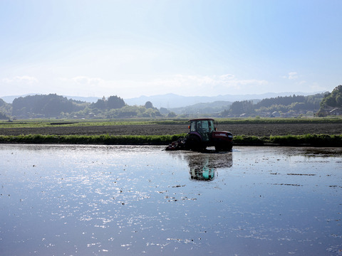 【玄米】一粒がきわ立つ　『天のつぶ（5kg）』トピカ農産　福島県南相馬市