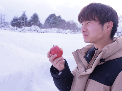 【家庭用】赤りんご🍎品種おまかせ小玉サイズ4kg 低農薬で安心！【小玉りんご】