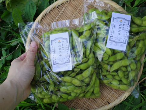 ＊訳あり＊◎自然栽培◎山形県鶴岡特産「茶豆えだまめ」2.5kg
