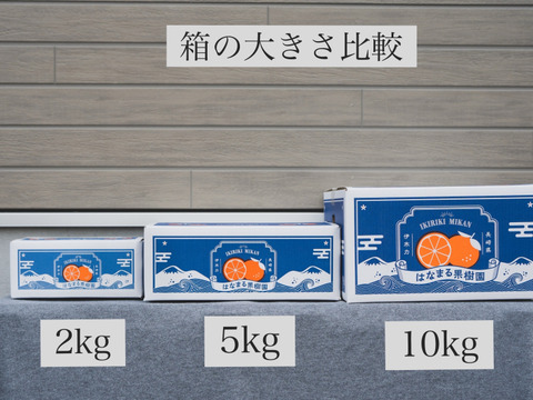 【長崎県産】マイヤーレモン２kg