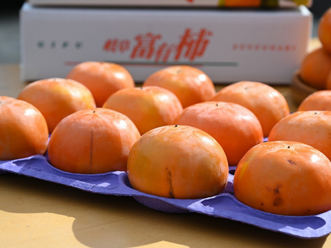 訳あり】岐阜県大野町産！採れたて！直送富有柿！(ご家庭用 2Lサイズ