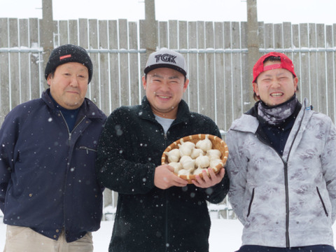 【見た目が個性的】青森県産ニンニク（Ｌサイズ１kg）