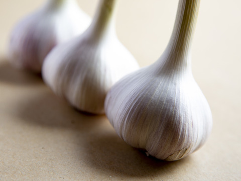 和らぎ農法　フレッシュ！新にんにく便（約1.5kg）