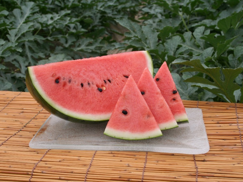 夏を感じるシャリ感抜群 レッドサンスイカ