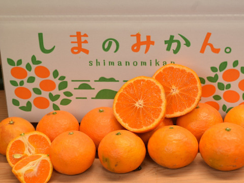 【お得用】はるのみかんカラマンダリン　お得用5キロ×1箱