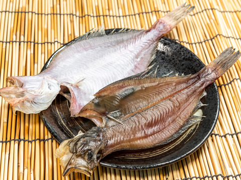 知床産 宗八カレイ一夜干し 二枚パック 北海道産の加工品 食べチョク 産地直送 産直 お取り寄せ通販 農家 漁師から旬の食材を直送 知床産 宗八カレイ一夜干し 二枚パック 北海道産の加工品 食べチョク 産地直送 産直 お取り寄せ通販 農家 漁師から旬の食材を直送