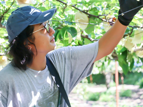 とろける甘さ。冬の贈り物「シルバーベル」3㎏7～9玉【冬ギフト】