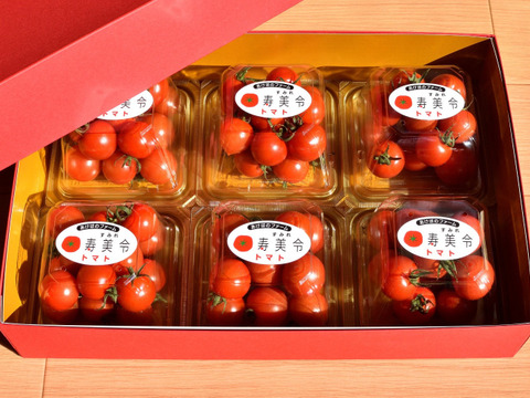 【贈答用】寿美令トマト（250gパック6個／化粧箱入り）フルーツトマト　ミニトマト　アイメック農法【母の日ギフト】