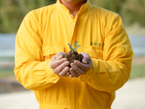 【関西テレビとれたてっ！】NHKあさイチ　テレビ朝日朝メシまで紹介　これパクチー？岡パクです（５００ｇ）少量タイプ