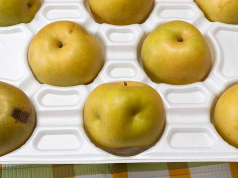 【家庭用】鳥取県大山町産『新甘泉』5kg