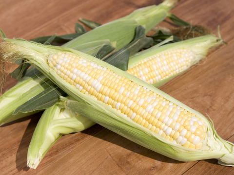 【期間限定】ベビー＆スイートコーン食べ比べセット【ドルチェドリーム】