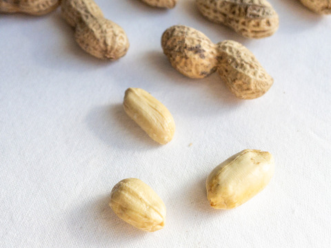 【落花生】炒りさやなかてゆたか 270g【4個セット】