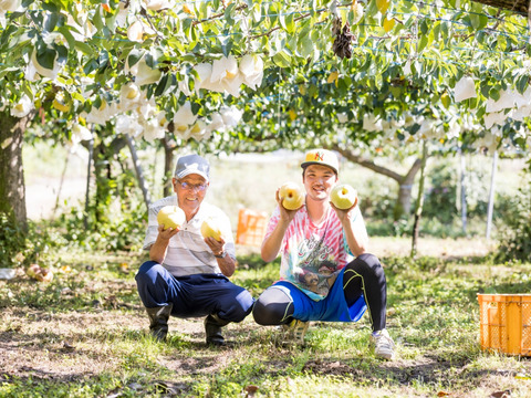 今年イチオシうんめぇ梨🍐樹上完熟！！梨(豊水) 福島県白河梨　2.5キロ