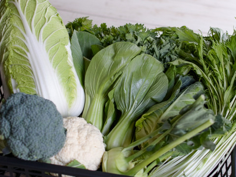 【旬の上州野菜】お試しサイズ（3~5品目）梱包まで丁寧に
