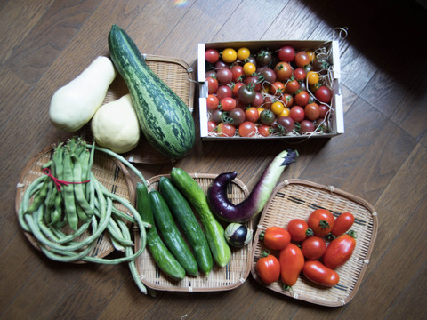種も土も！こだわり有機農家のオーガニック野菜セット7-8種類【Mサイズ】
