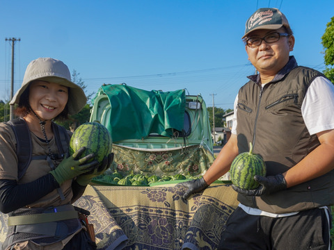 【小玉スイカ】あきた夏丸チッチェ2玉入れ【7/25以降発送】