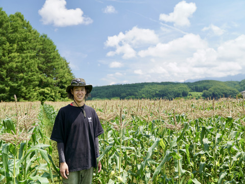 【生も美味い】濃厚激甘『八ヶ岳ヴィーナス』雑誌リンネル掲載｜配送日時指定⭕️｜約370g×6本