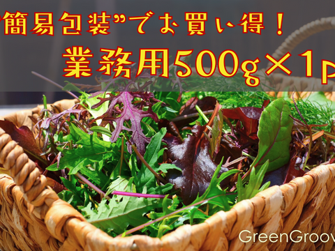 違いはわかります！G20サミット採用サラダ！10種のヨーロピアンリーフミックス【簡易包装500g×1p】▲月・火・水・木着専用▲