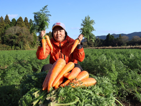 自然な甘さ　人参　「向陽二号」10キロ　A品3LからMバラ入り