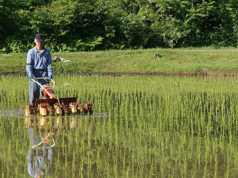 自然栽培（農薬・有機化学肥料不使用）のお米！ 玄米２kg　令和４年産