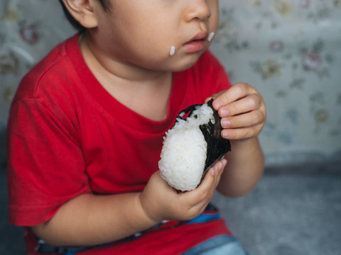 【令和６年産新米】香りが自慢の夢しずく白米（2キロ✖️2袋）