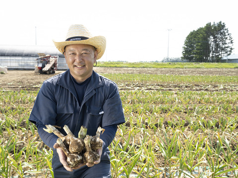 北海道十勝 鎌田農園の至高にんにく 大玉 6個入り