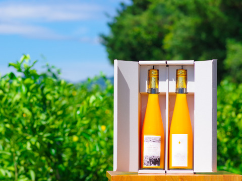 【賞味期限間近　お得】【父の日ギフト】日下みかんストレートジュース　瓶500ml×2本(化粧箱入)　賞味期限　2026年8月