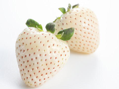 紅白極上あまおう400ｇ　～ベロアギフトボックス～【冬ギフト】