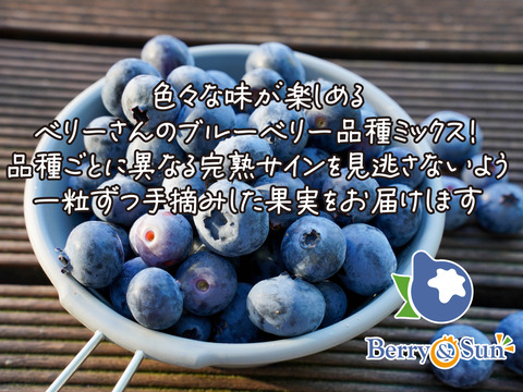 ”ベリーさん”の完熟ブルーベリー品種ミックス 1㎏（125g×8パック）【生食用】・予約販売中