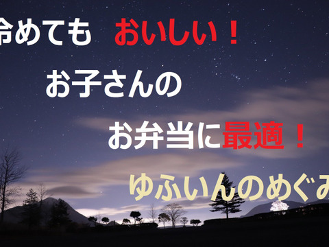 令和6年新米】ゆふいんのめぐみ“コシヒカリ白米10kg”：大分県産