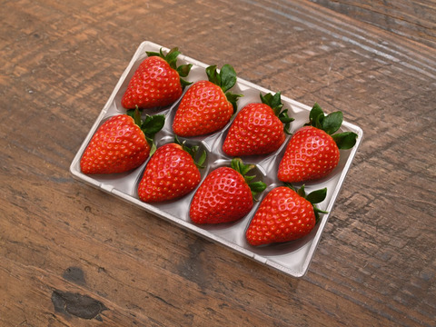 【大粒いちご】古都華 4Lサイズ1箱(280g×2p)