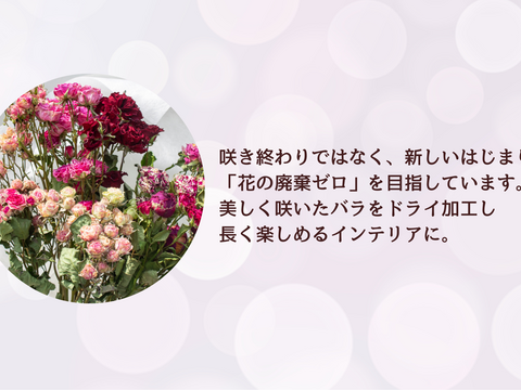 【廃棄ゼロの想い】国産ドライローズ｜サステナブルフラワー