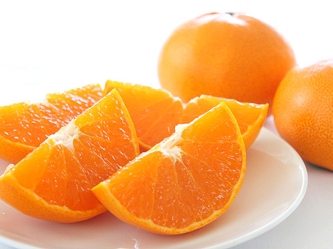 【予約】せとか〈秀品・小箱〉約3kg　※発送は2月中旬頃開始予定