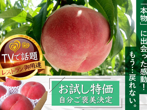 【ザワつく!金曜日】出演🍑あしたの内村!!ニノさんにも出演で大人気☆【お中元ギフト】自分ご褒美にレストラン御用達もも1kg【お試し特価キャンペーン】【朝どれ】🍑7月下旬予約🍑