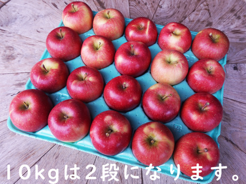 希少品種🍎安祈世🍎たっぷり10kg りんご好きもうなる皮までおいしい低農薬りんご✨ギフト 贈答用可 予約 旬