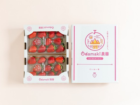 奈良高級ブランドいちご『古都華』特別栽培農産物　4パック2箱