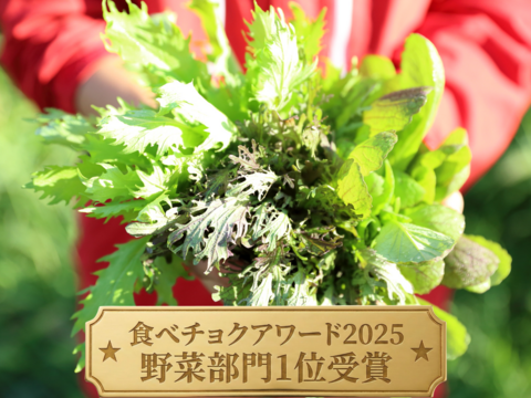 【お試し300g】濃い味！山形県産JAS有機ベビーリーフ